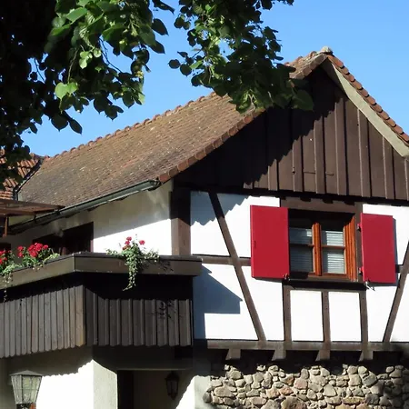 Ferienwohnung Sester Gengenbach Zewnętrze zdjęcie