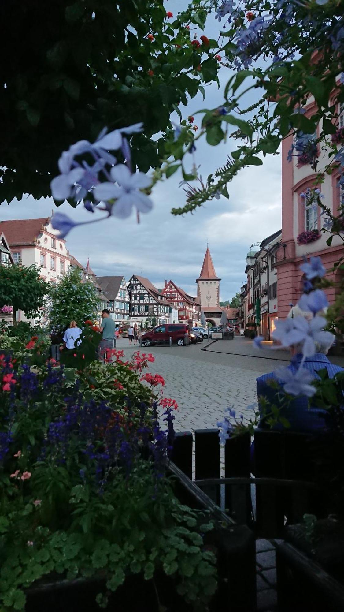 Sester Appartement Gengenbach